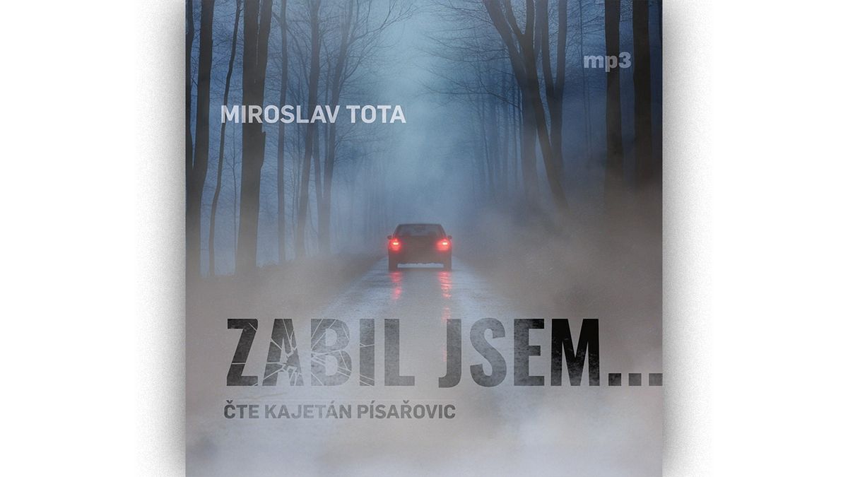 Zabil jsem… Příběh osudového neštěstí